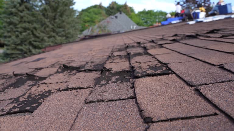 Best Roof Moss and Algae Removal  in Yorktown, IN